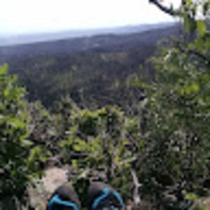 Meet your Posher, Britta